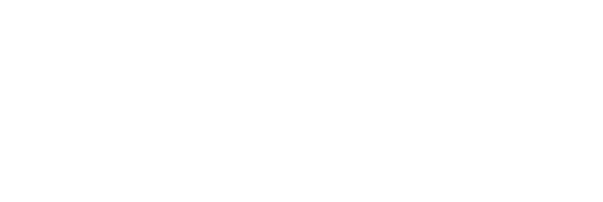 ArkCybr Horizontal White on Transparent